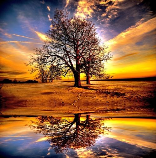 Remarkable and Stunning Examples of Reflection Photography Art by techblogstop 5