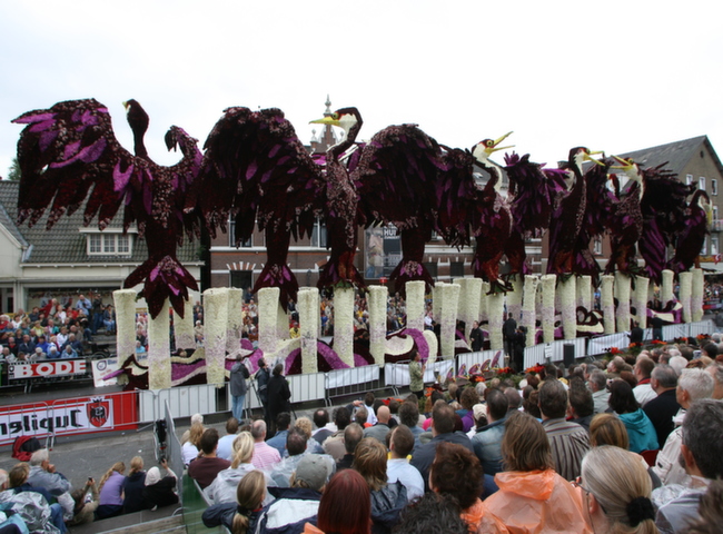 Flower Parade by techblogstop